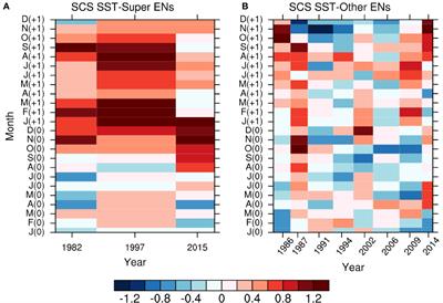 Discrepant Effects of Oceanic Advection in the Evolution of SST Anomalies in the South China Sea During El Niño of Different Intensities